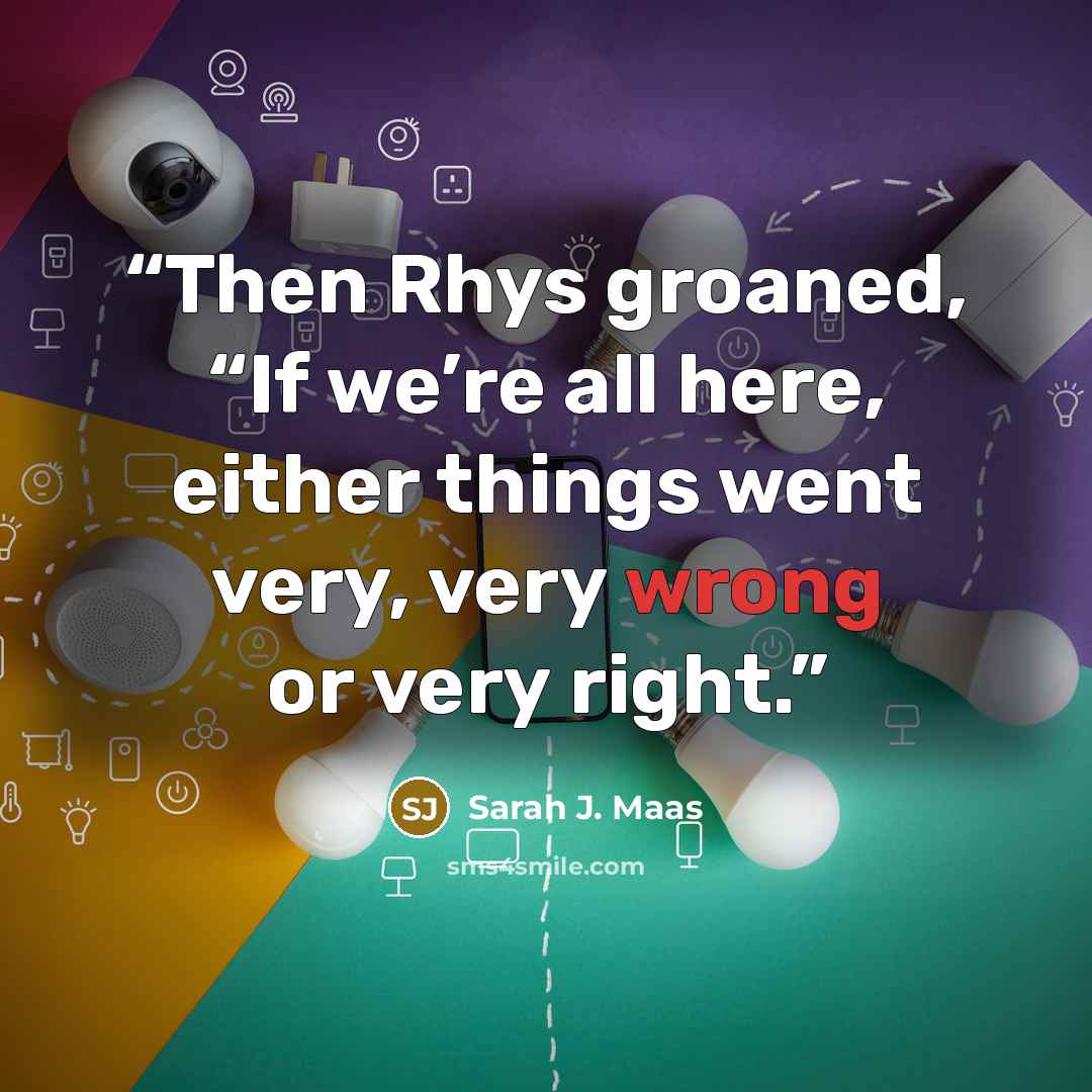 “Then Rhys groaned, “If we’re all here, either things went very, very wrong or very right.” quote by Sarah J. Maas