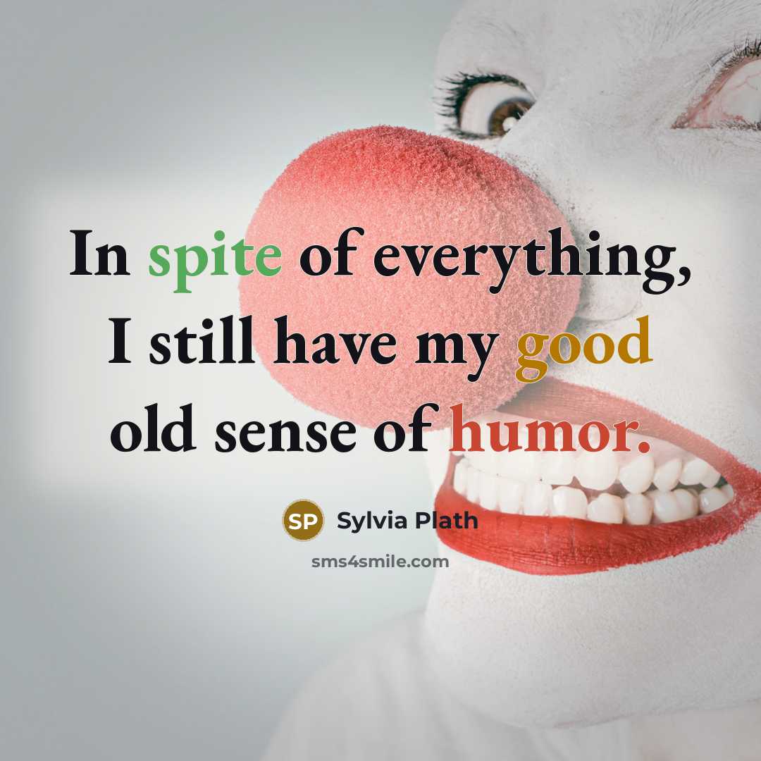 “In spite of everything, I still have my good old sense of humor.” quote by Sylvia Plath
