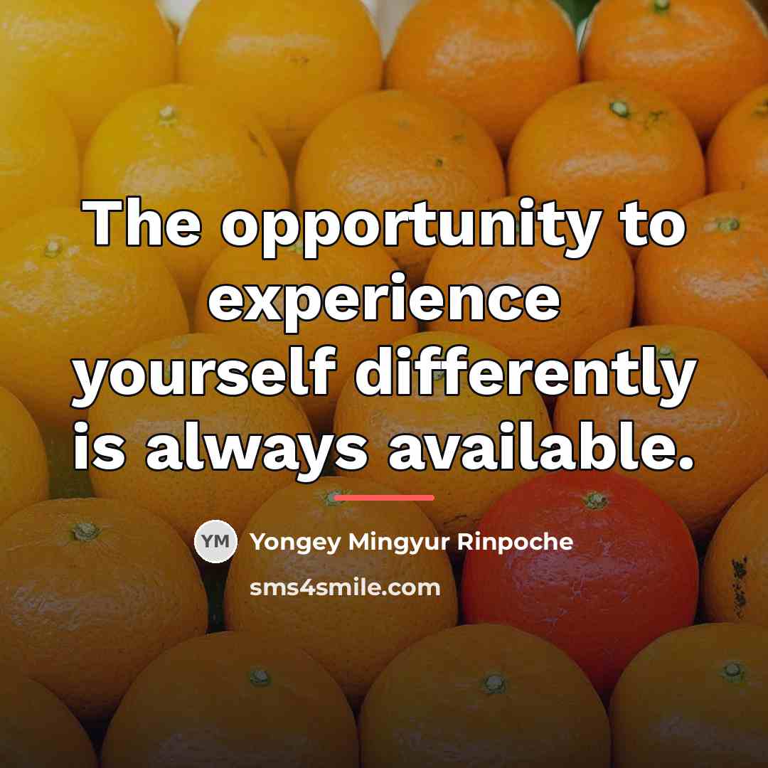 “The opportunity to experience yourself differently is always available.…” quote by Yongey Mingyur Rinpoche