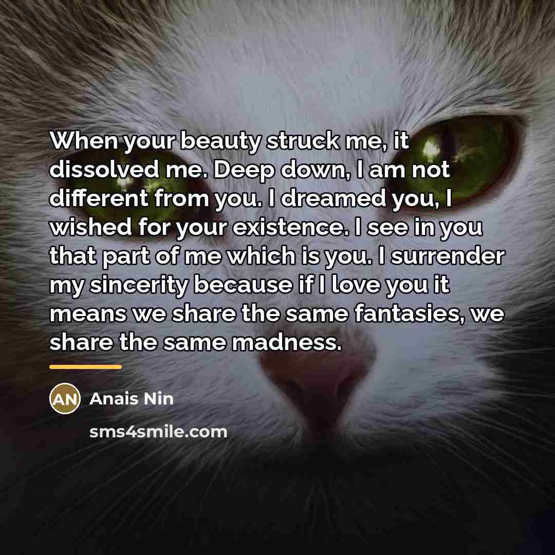 “When your beauty struck me, it dissolved me. Deep down,…” quote by Anais Nin