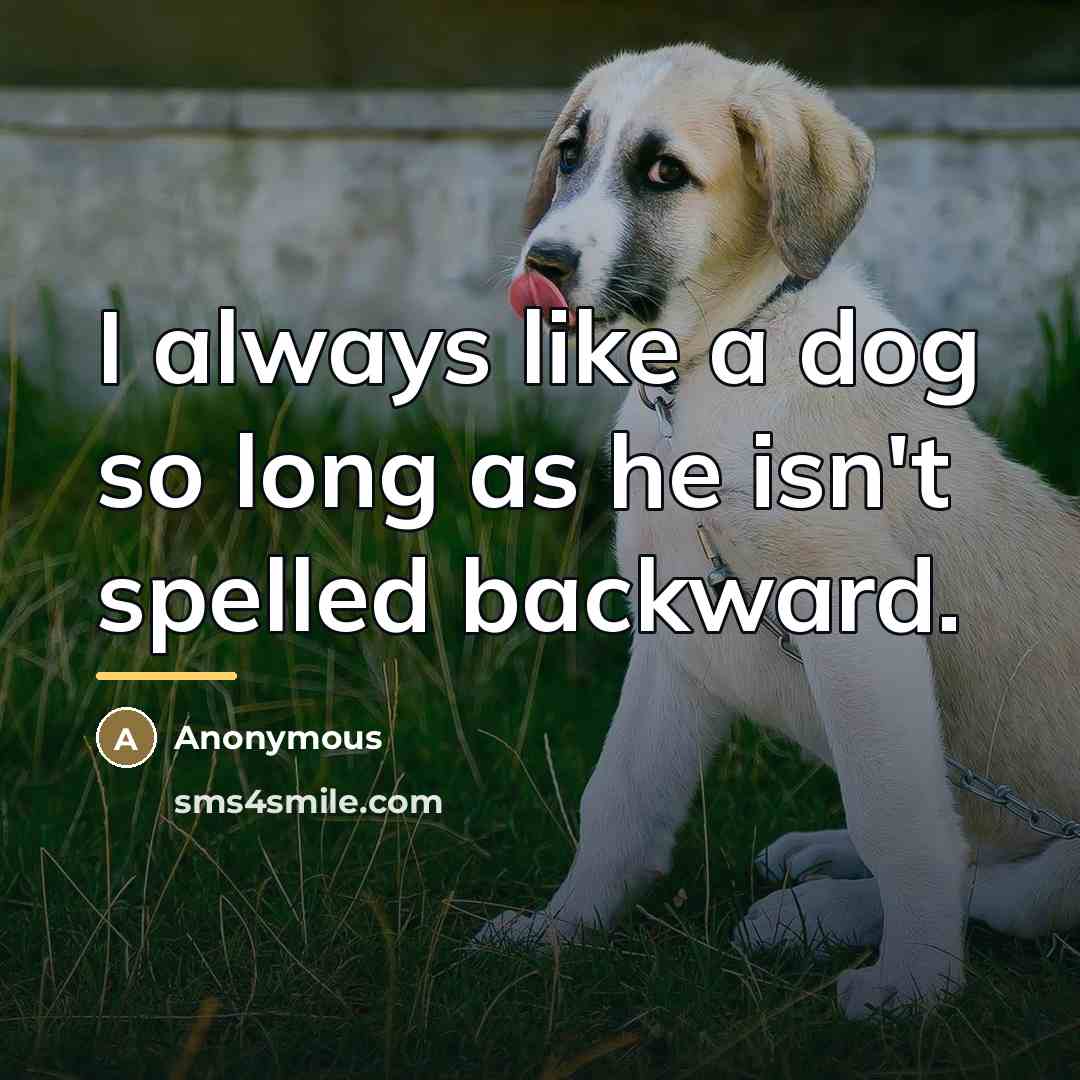 “I always like a dog so long as he isn't…” quote by Anonymous