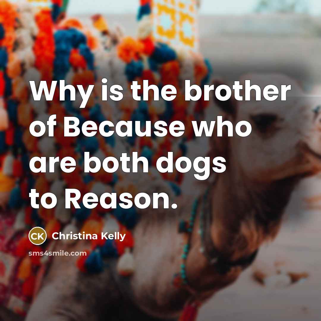 “Why is the brother of Because who are both dogs to Reason.” quote by Christina Kelly