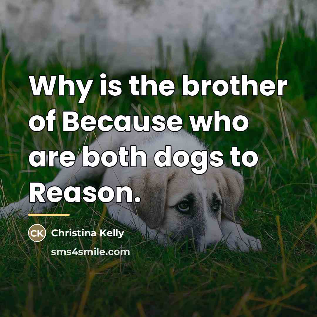 “Why is the brother of Because who are both dogs…” quote by Christina Kelly