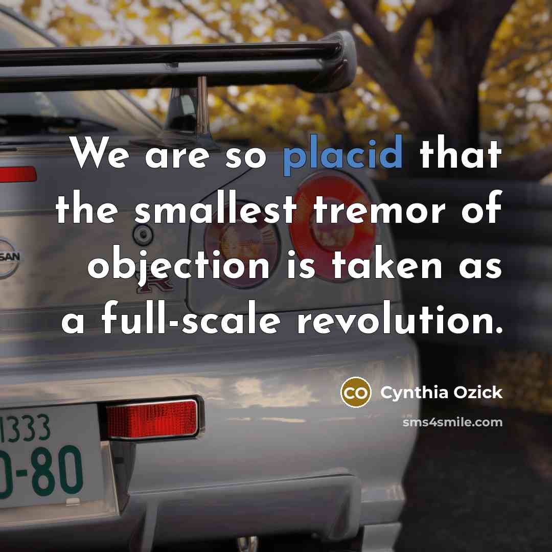“We are so placid that the smallest tremor of objection…” quote by Cynthia Ozick