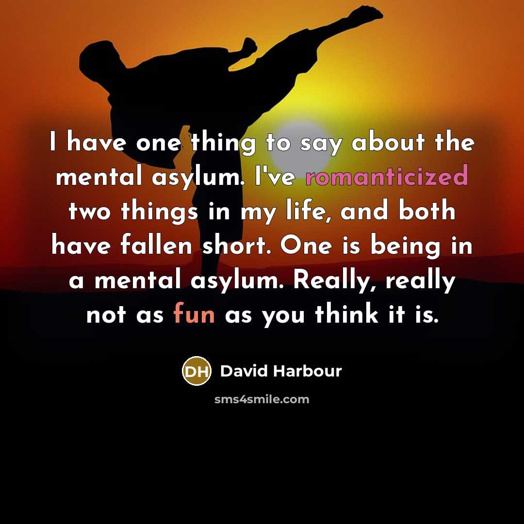 “I have one thing to say about the mental asylum. I've romanticized two things in my life, and both have fallen short. One is being in a mental asylum. Really, really not as fun as you think it is.” quote by David Harbour