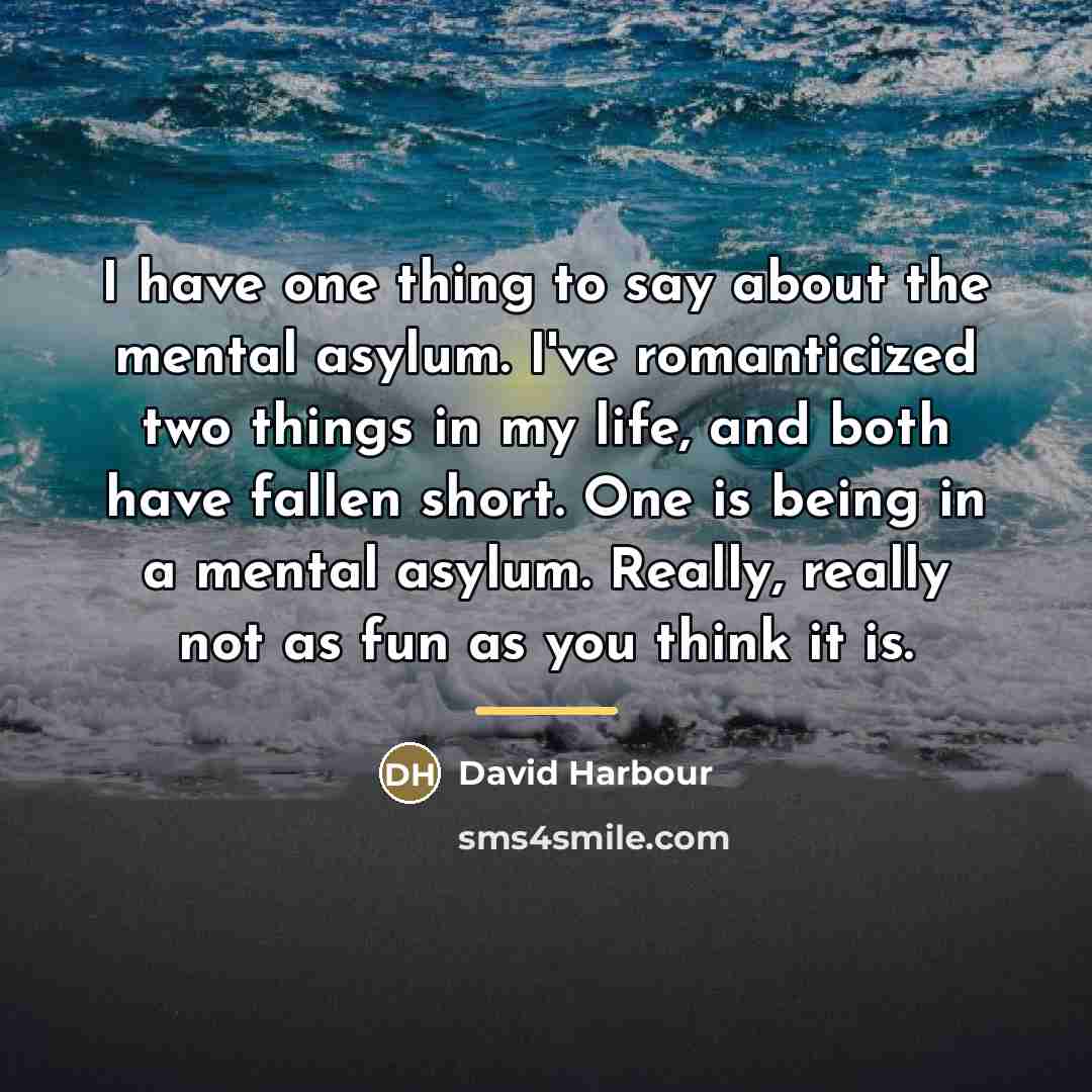 “I have one thing to say about the mental asylum.…” quote by David Harbour