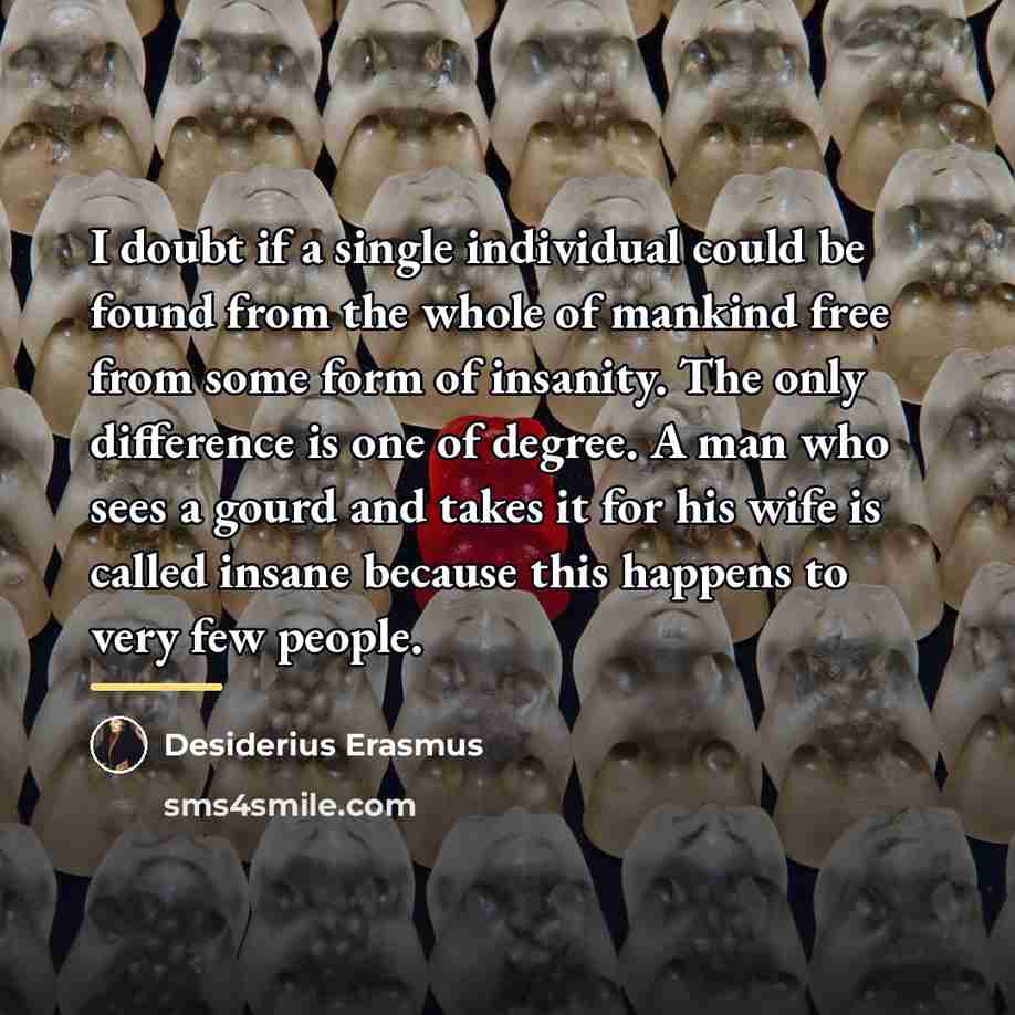 “I doubt if a single individual could be found from…” quote by Desiderius Erasmus