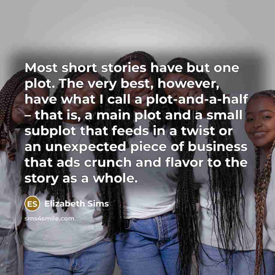 “Most short stories have but one plot. The very best,…” quote by Elizabeth Sims