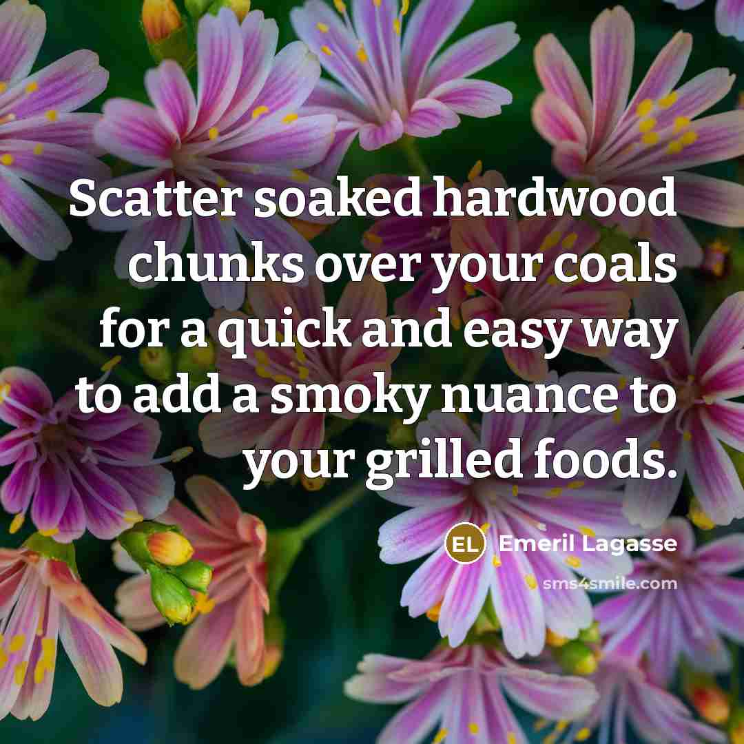 “Scatter soaked hardwood chunks over your coals for a quick…” quote by Emeril Lagasse