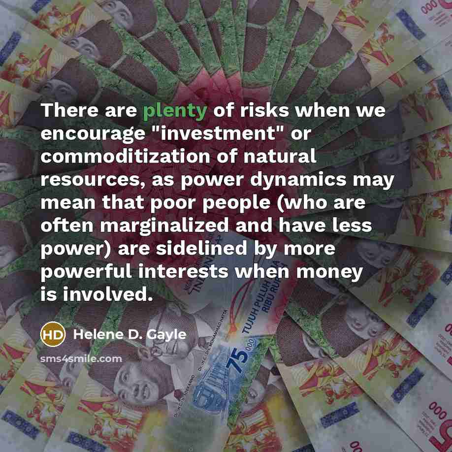 “There are plenty of risks when we encourage "investment" or…” quote by Helene D. Gayle