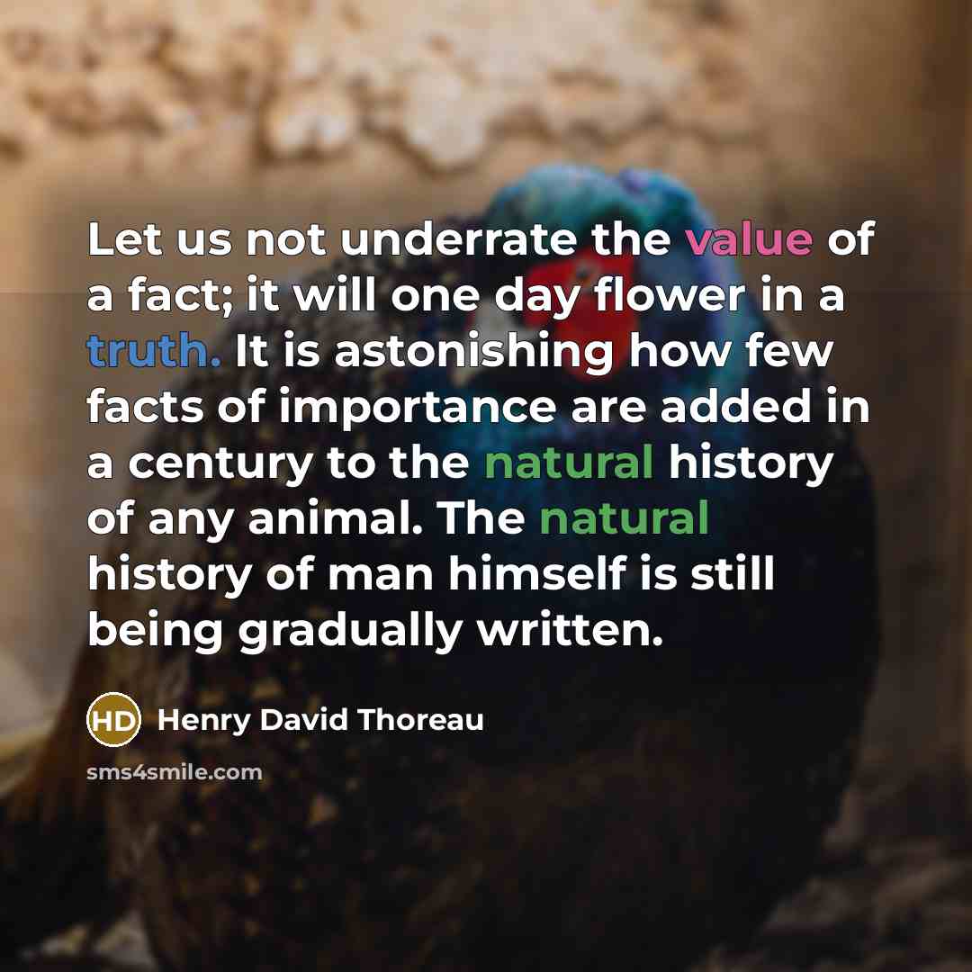“Let us not underrate the value of a fact; it…” quote by Henry David Thoreau