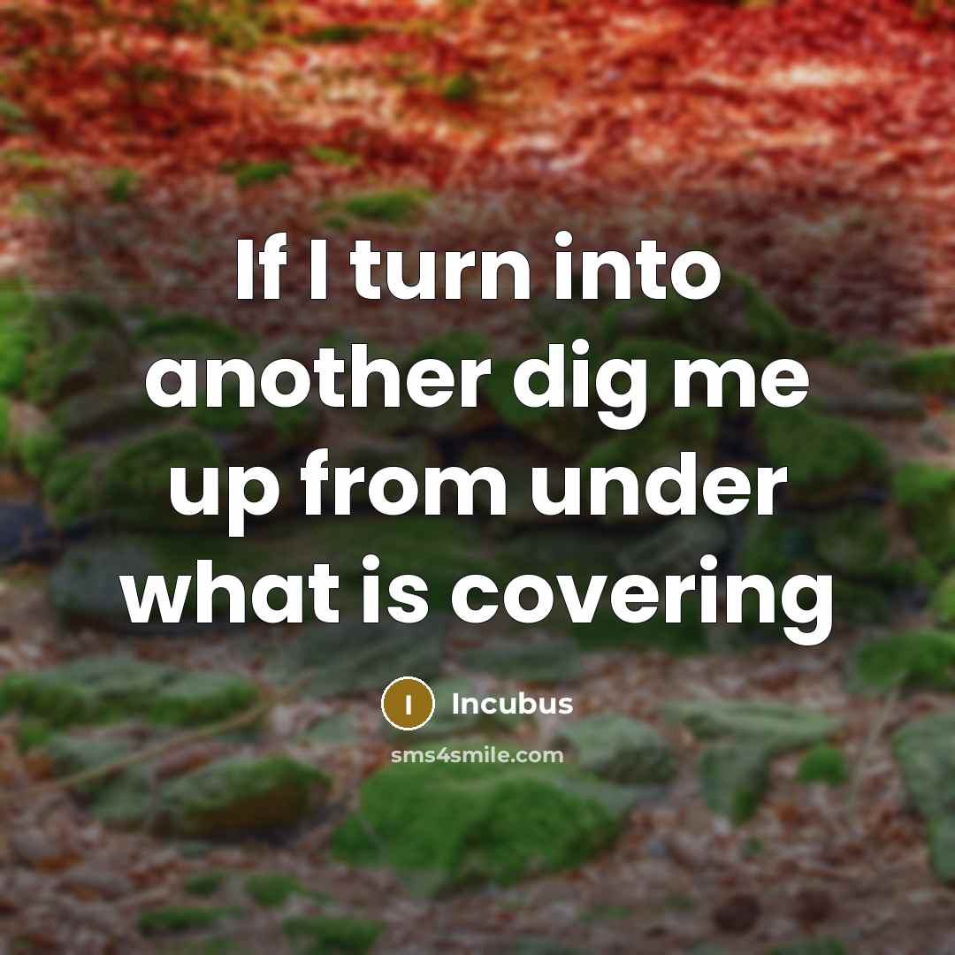 “If I turn into another dig me up from under…” quote by Incubus