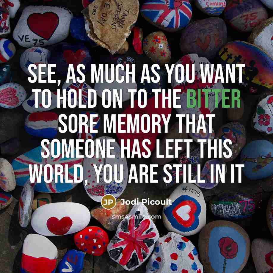 “See, as much as you want to hold on to…” quote by Jodi Picoult