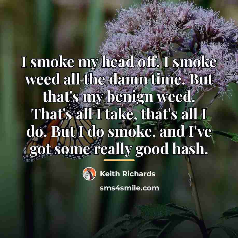 “I smoke my head off. I smoke weed all the…” quote by Keith Richards