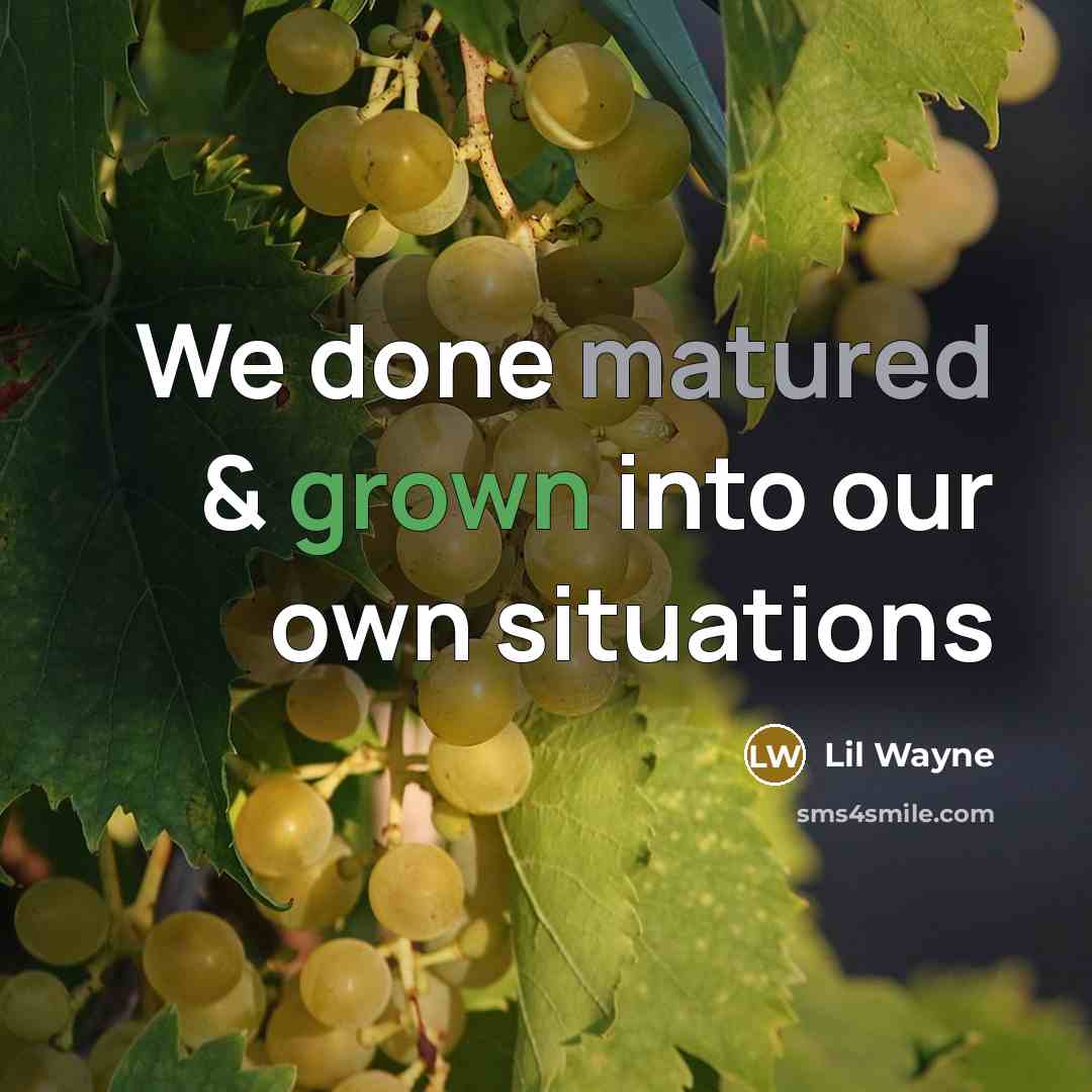 “We done matured & grown into our own situations” quote by Lil Wayne