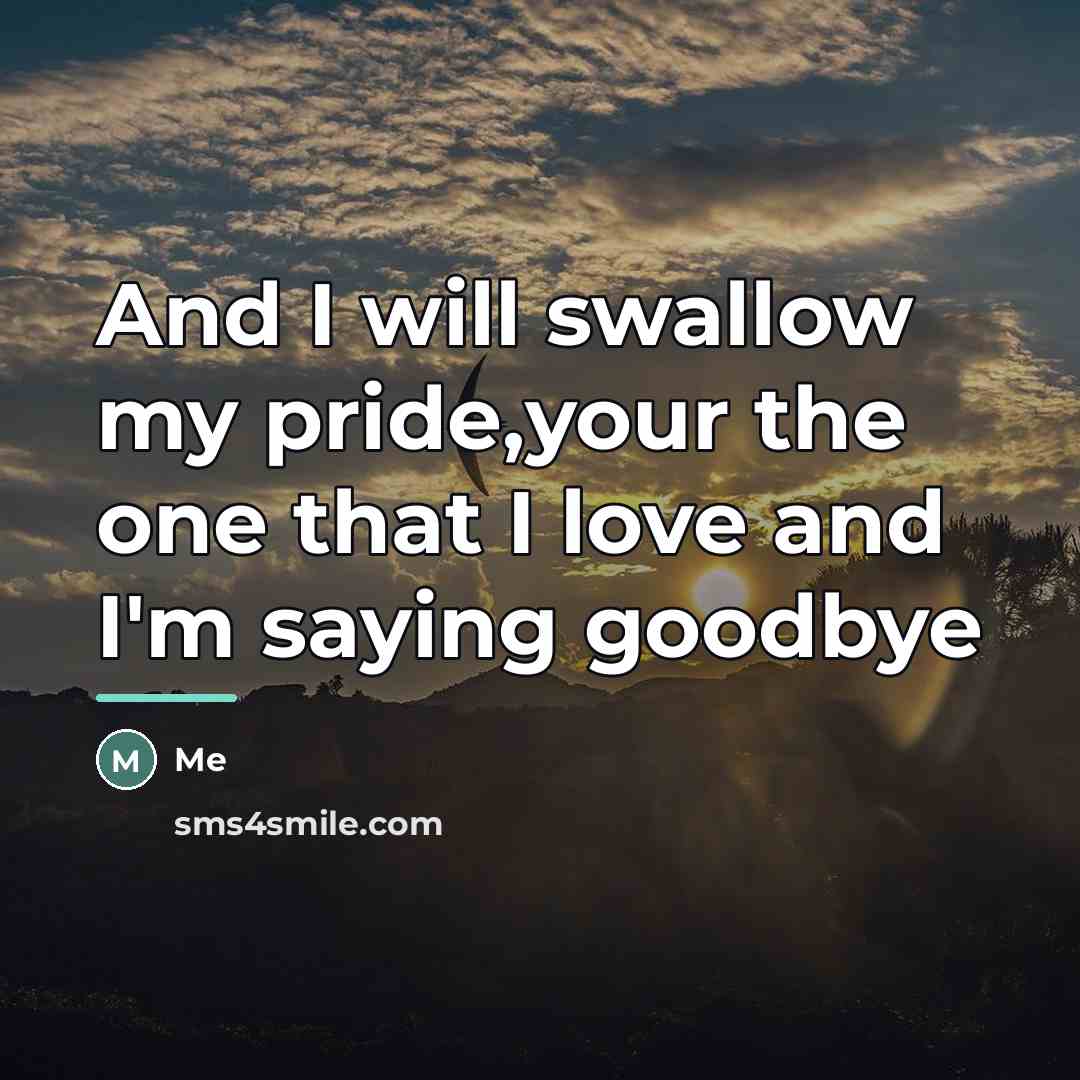 “And I will swallow my pride,your the one that I…” quote by Me
