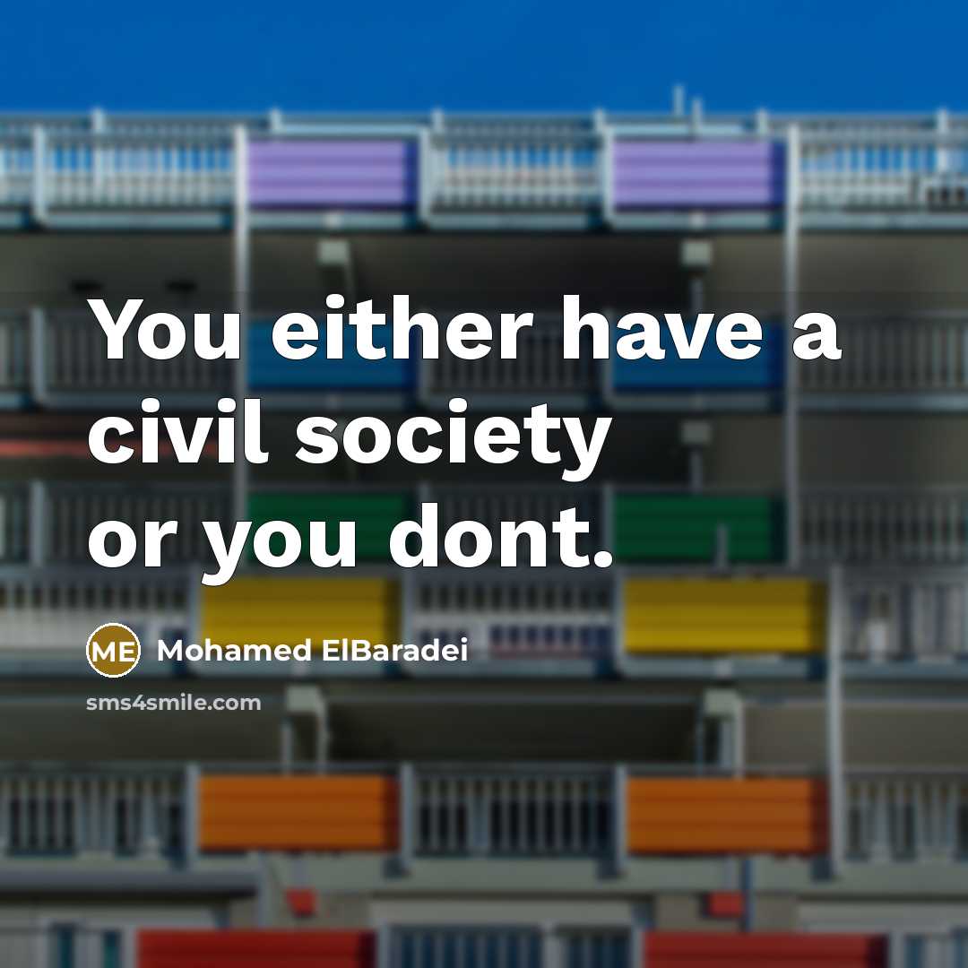 “You either have a civil society or you dont.” quote by Mohamed ElBaradei