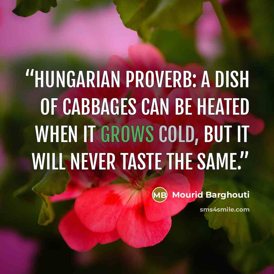 “Hungarian Proverb: A dish of cabbages can be heated when it grows cold, but it will never taste the same.” quote by Mourid Barghouti