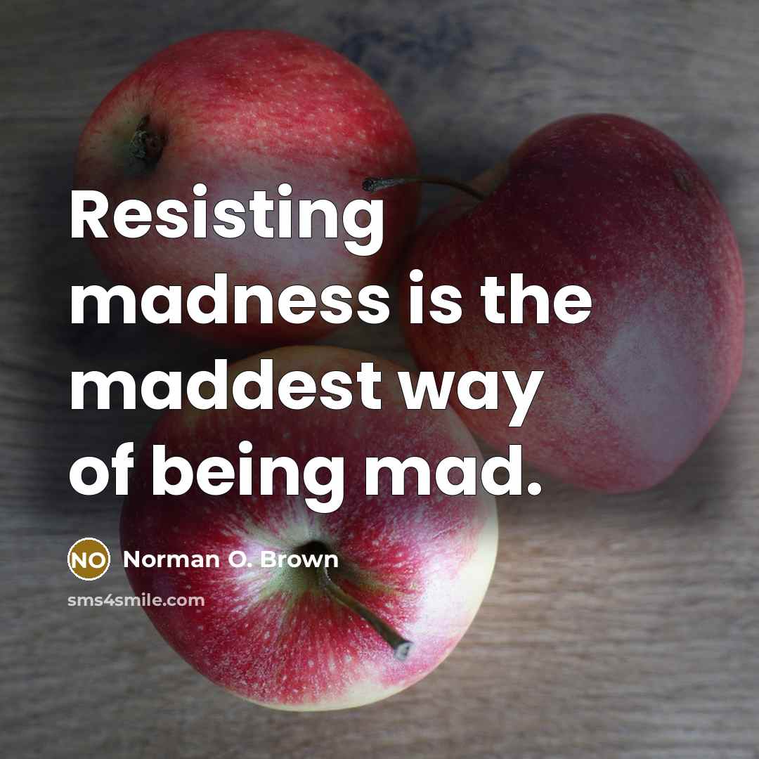 “Resisting madness is the maddest way of being mad.…” quote by Norman O. Brown