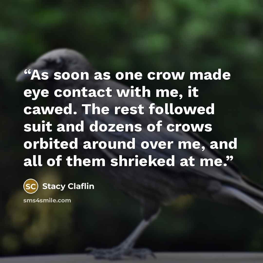 “As soon as one crow made eye contact with me, it cawed. The rest followed suit and dozens of crows orbited around over me, and all of them shrieked at me.” quote by Stacy Claflin