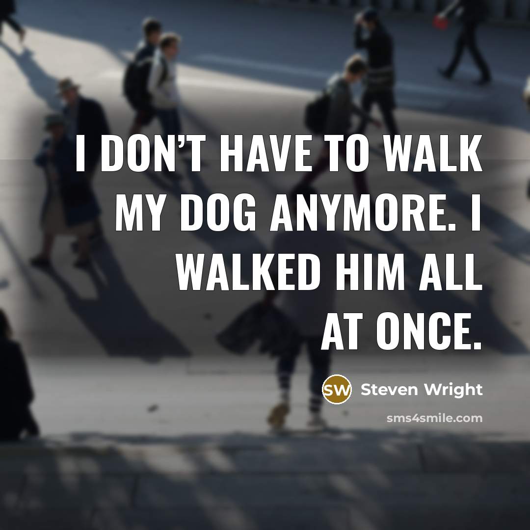 “I don’t have to walk my dog anymore. I walked…” quote by Steven Wright