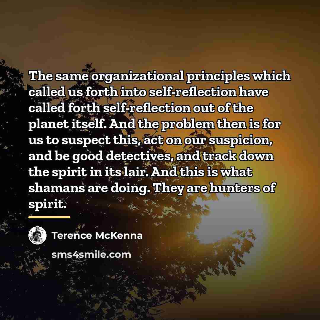 “The same organizational principles which called us forth into self-reflection…” quote by Terence McKenna
