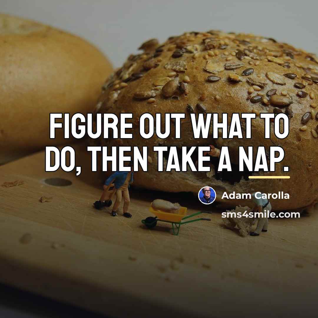 “Figure out what to do, then take a nap.…” quote by Adam Carolla