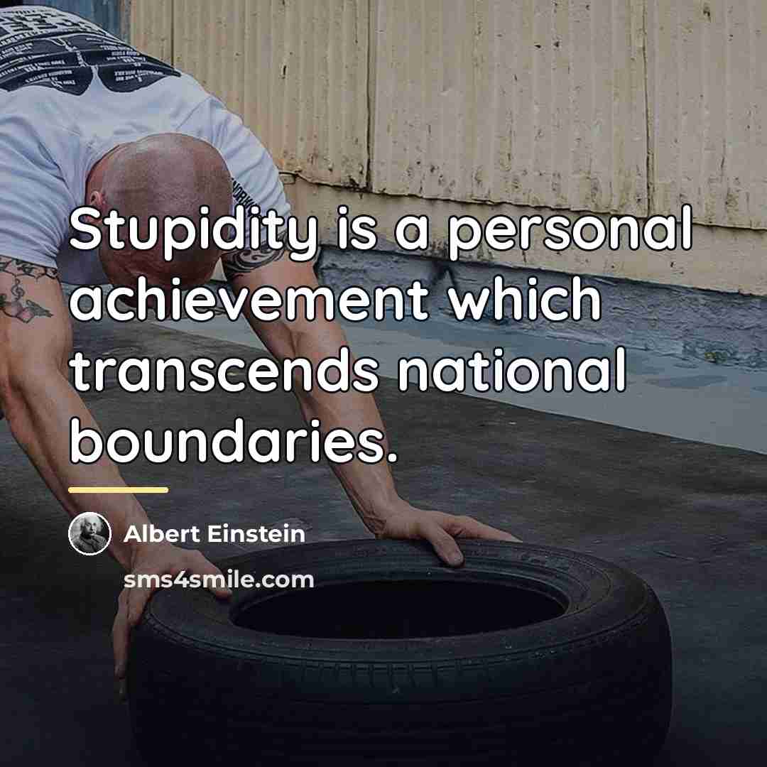 “Stupidity is a personal achievement which transcends national boundaries.…” quote by Albert Einstein