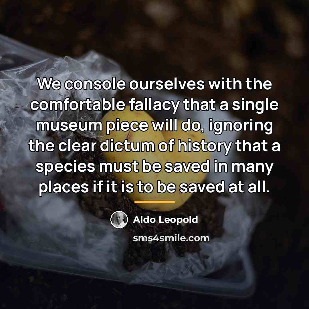 “We console ourselves with the comfortable fallacy that a single…” quote by Aldo Leopold