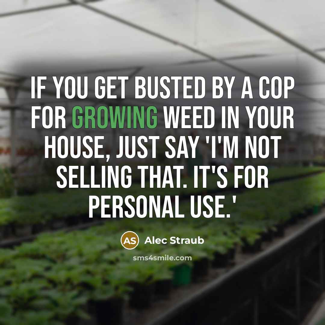 “If you get busted by a cop for growing weed…” quote by Alec Straub