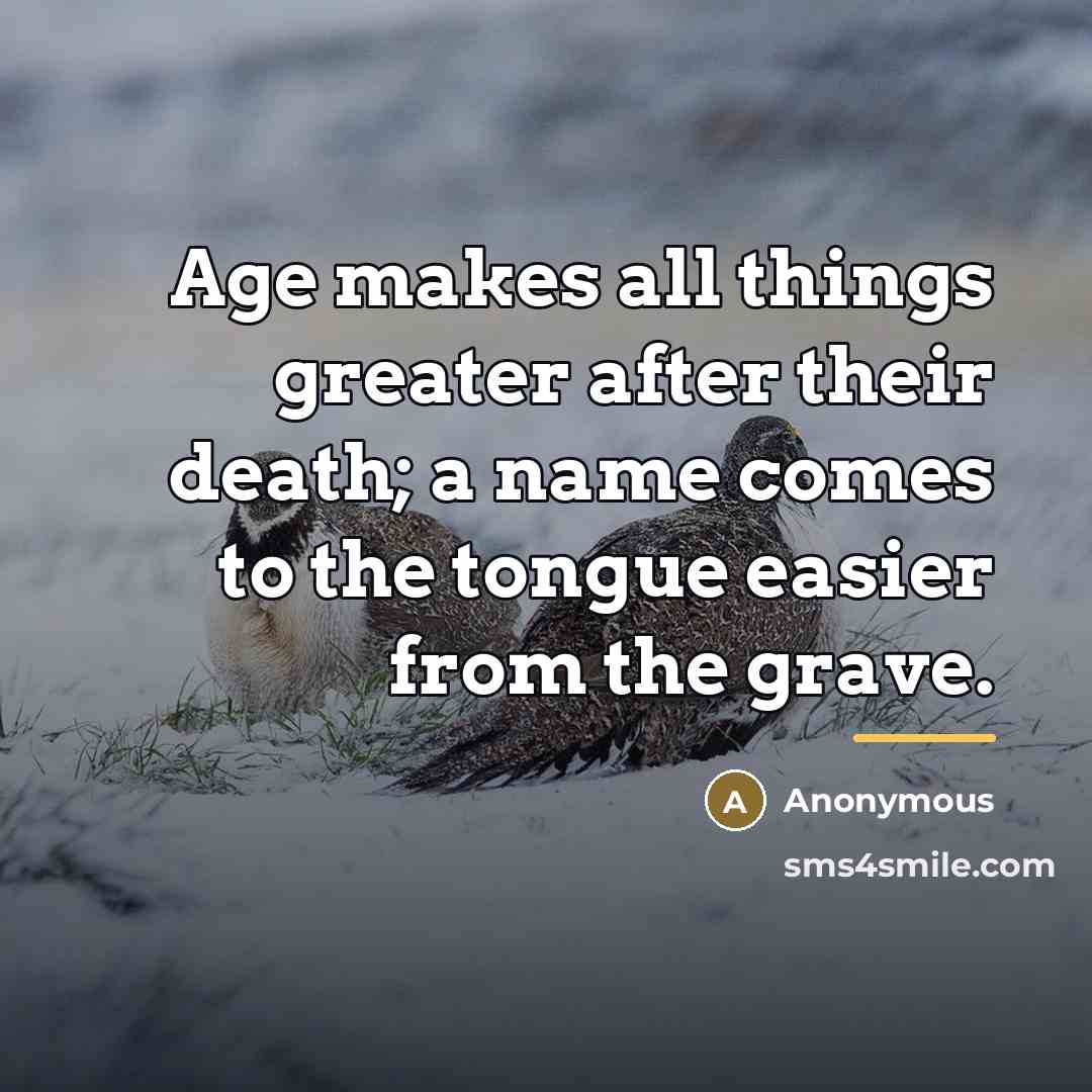 “Age makes all things greater after their death; a name…” quote by Anonymous