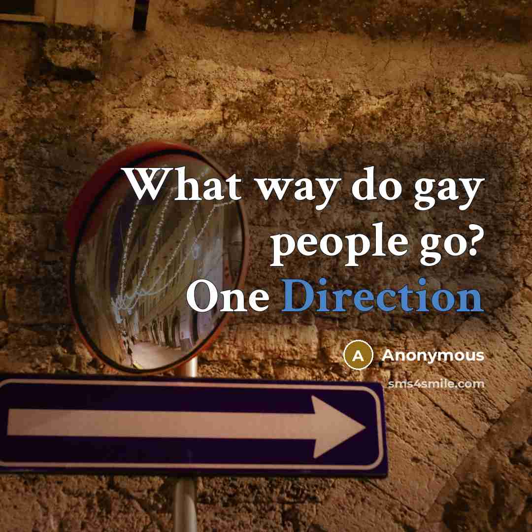 “What way do gay people go? One Direction” quote by Anonymous