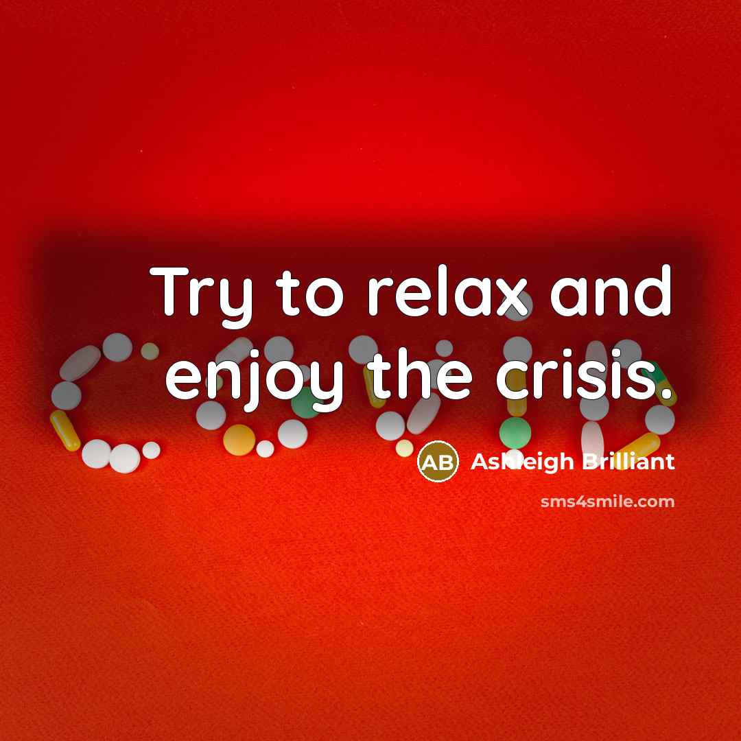 “Try to relax and enjoy the crisis.…” quote by Ashleigh Brilliant