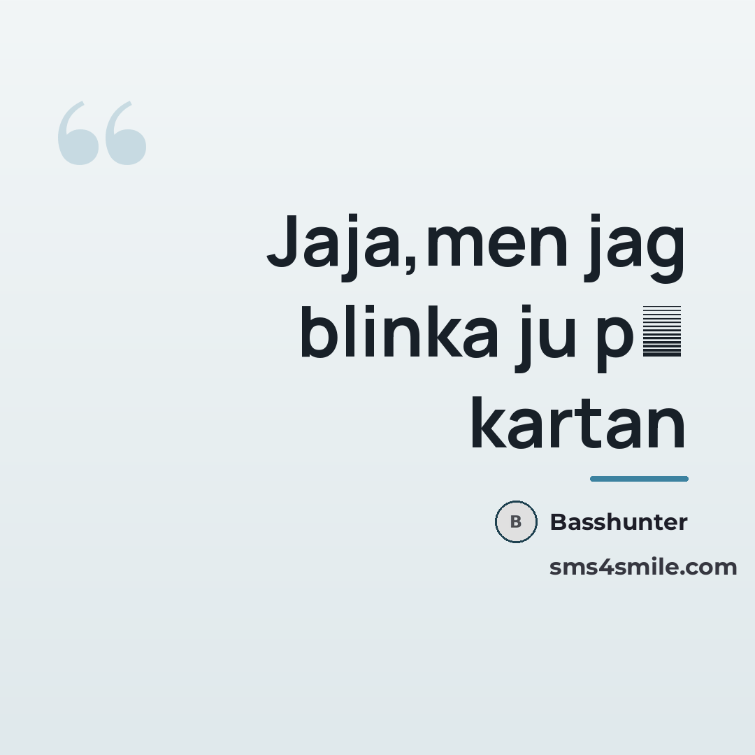 “Jaja,men jag blinka ju p� kartan…” quote by Basshunter