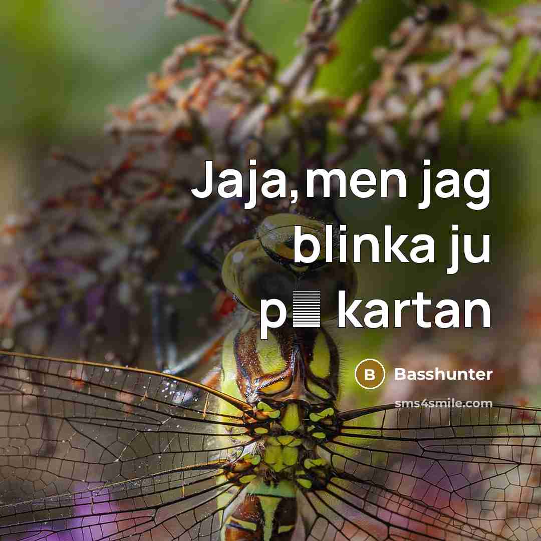 “Jaja,men jag blinka ju p� kartan” quote by Basshunter
