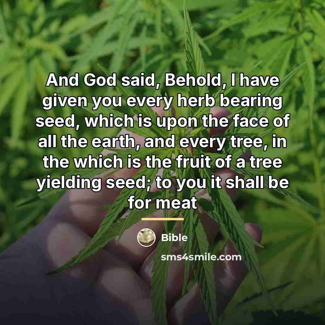“And God said, Behold, I have given you every herb…” quote by Bible