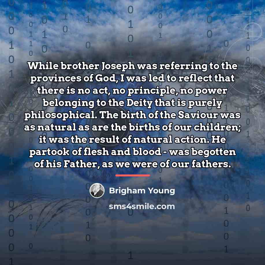 “While brother Joseph was referring to the provinces of God,…” quote by Brigham Young