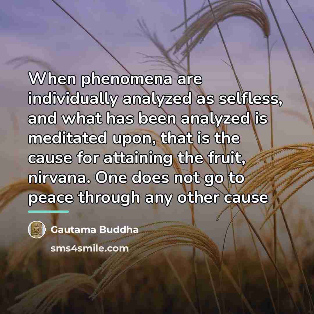“When phenomena are individually analyzed as selfless, and what has…” quote by Gautama Buddha