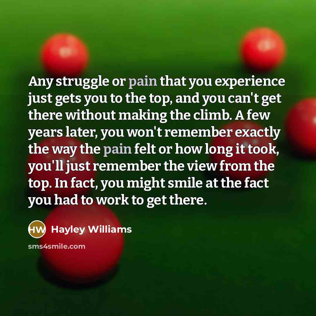 “Any struggle or pain that you experience just gets you…” quote by Hayley Williams