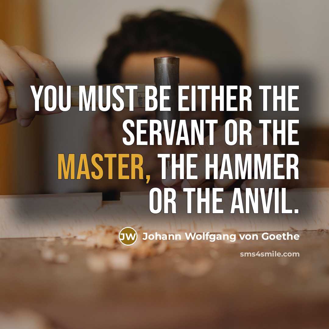 “You must be either the servant or the master, the…” quote by Johann Wolfgang von Goethe