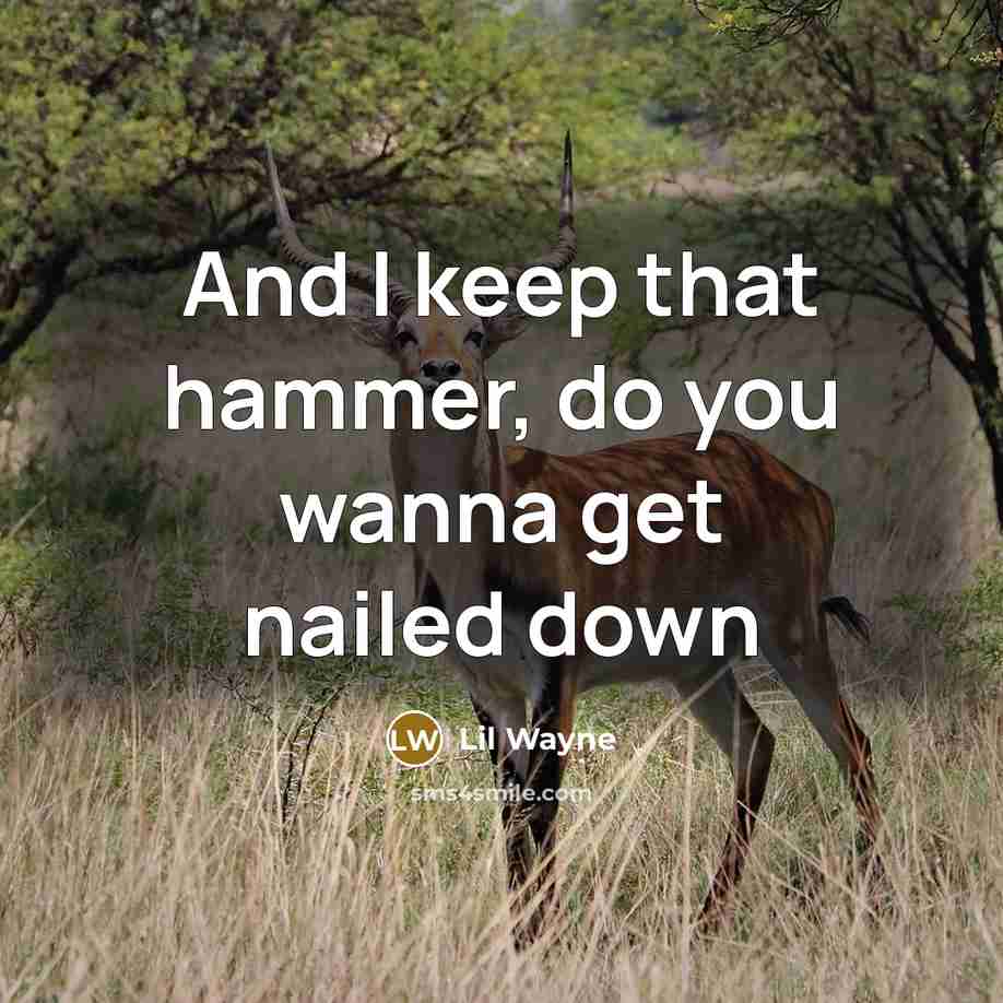 “And I keep that hammer, do you wanna get nailed…” quote by Lil Wayne