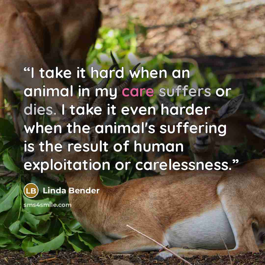 “I take it hard when an animal in my care suffers or dies. I take it even harder when the animal's suffering is the result of human exploitation or carelessness.” quote by Linda Bender