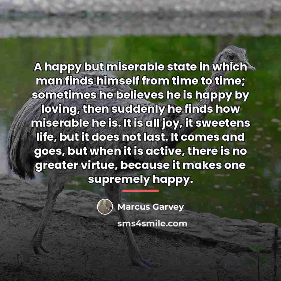 “A happy but miserable state in which man finds himself…” quote by Marcus Garvey