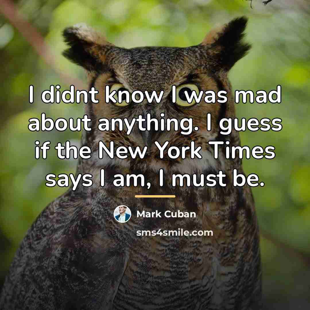 “I didnt know I was mad about anything. I guess…” quote by Mark Cuban