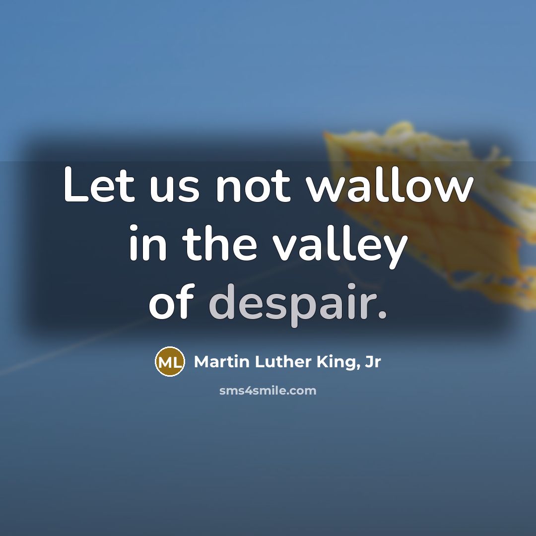 “Let us not wallow in the valley of despair.…” quote by Martin Luther King, Jr