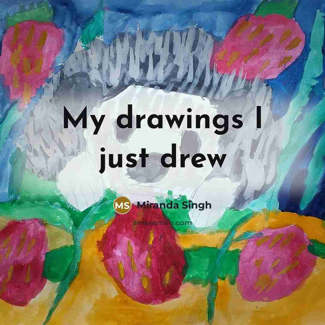 “My drawings I just drew…” quote by Miranda Singh