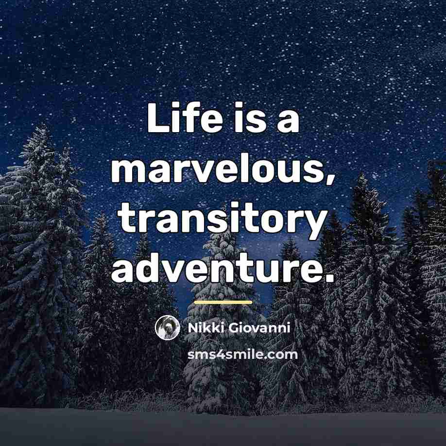 “Life is a marvelous, transitory adventure.…” quote by Nikki Giovanni