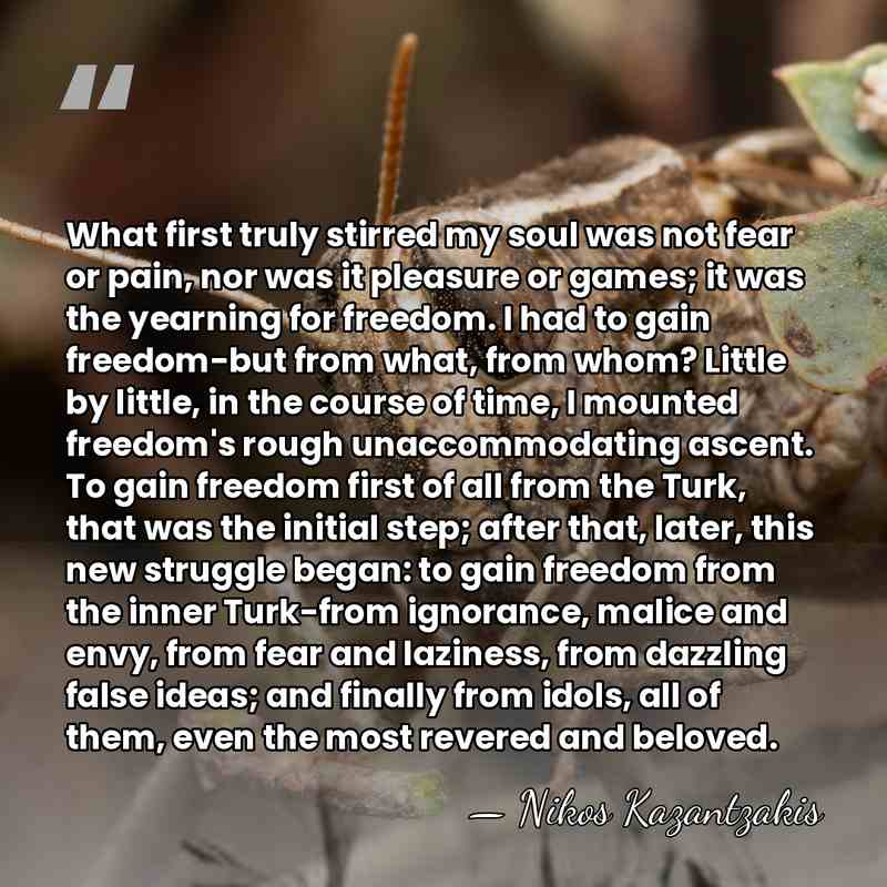 What first truly stirred my soul was not fear or pain, nor&hellip; - Nikos Kazantzakis