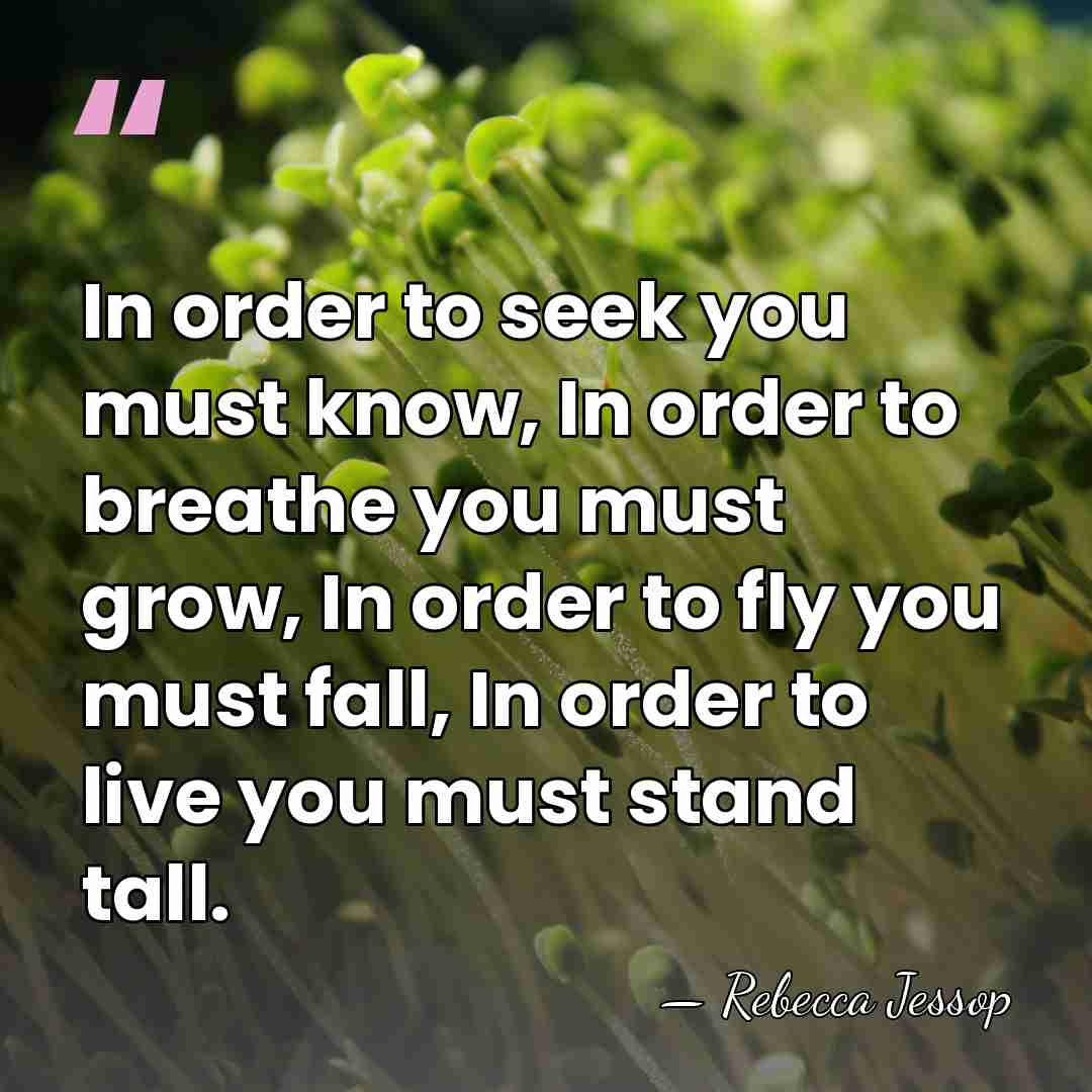 In order to seek you must know, In order to breathe you&hellip; - Rebecca Jessop