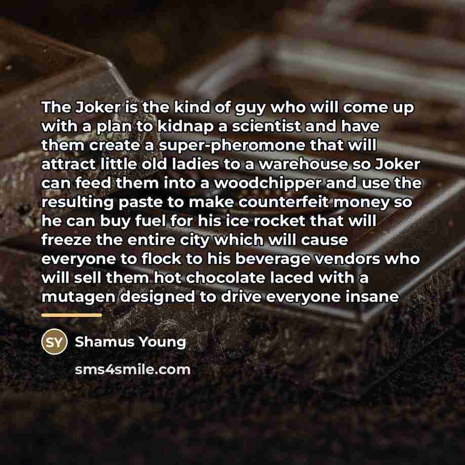 “The Joker is the kind of guy who will come…” quote by Shamus Young